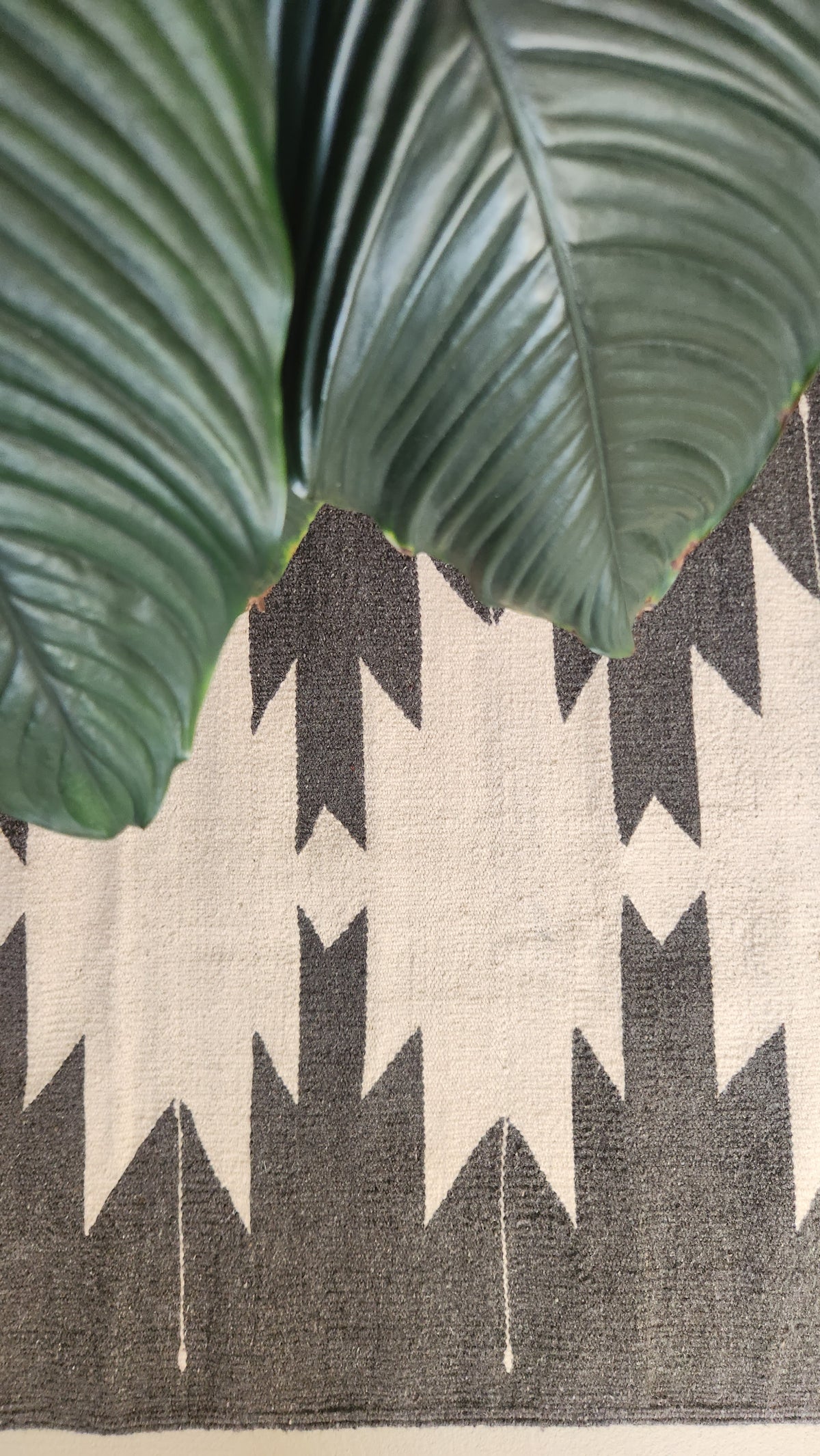 Wool Rug Oaxaca - Ozolotepec