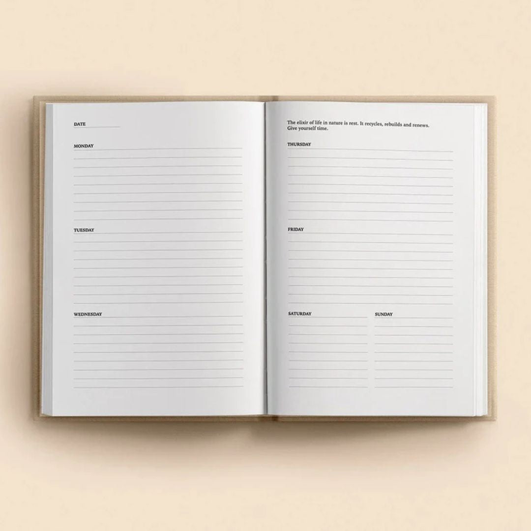 Agenda intemporelle 2026 - Stay Gold Wild Soul