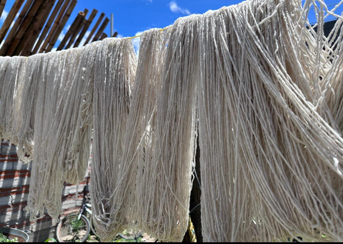Wollteppich Oaxaca - #28 (80 x 146 cm)